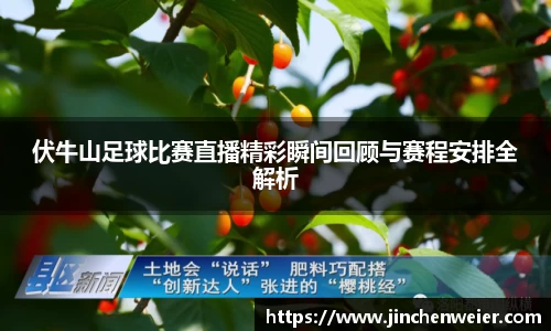 EMC易倍官网