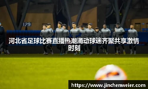 河北省足球比赛直播热潮涌动球迷齐聚共享激情时刻