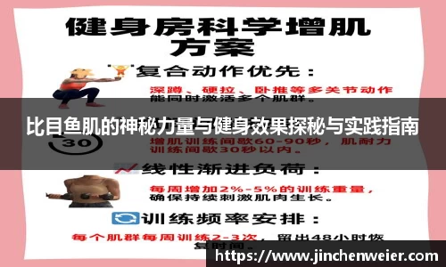 比目鱼肌的神秘力量与健身效果探秘与实践指南