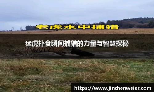 EMC易倍官网