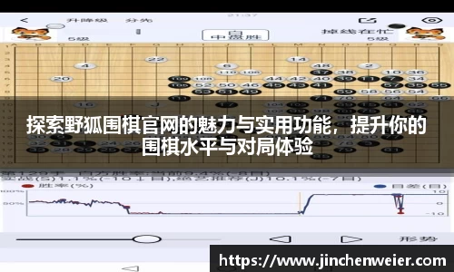 探索野狐围棋官网的魅力与实用功能，提升你的围棋水平与对局体验